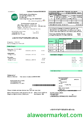 USA Northwestern Rural Electric business utility bill template, fully editable in Word and PDF formats